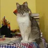Отзыв от Нинель Свешникова